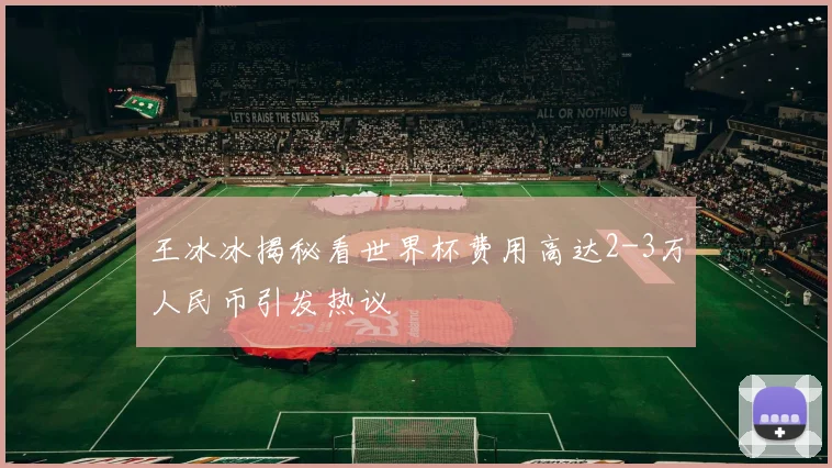 王冰冰揭秘看世界杯费用高达2-3万人民币引发热议