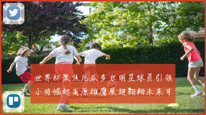 世界杯聚焦厄瓜多尔明星球员引领小将崛起高原雄鹰展翅翱翔未来可期